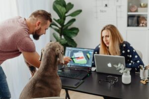 Can i bring a dog to the office