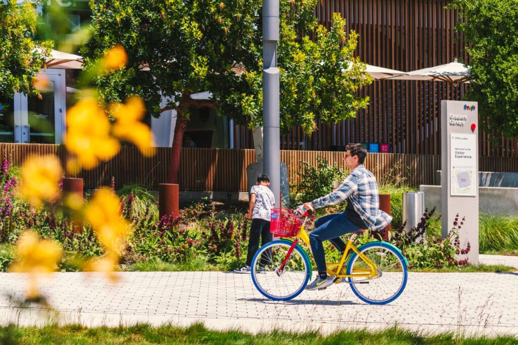 googles offices